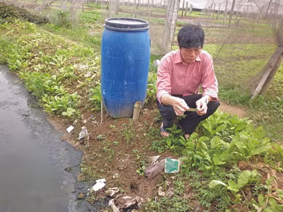 110 ngàn tấn thuốc - ai kiểm soát?