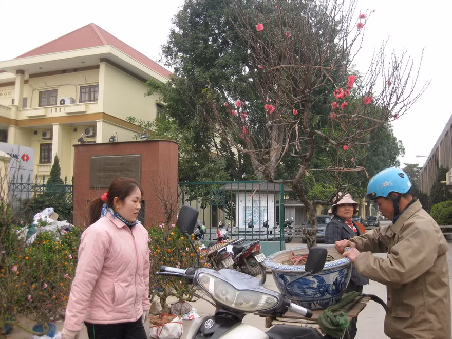 Đào và quất hôm nay giá "giảm nhiệt"