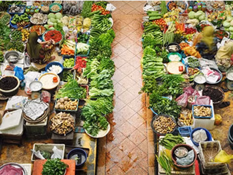 Nỗi lòng rau sạch