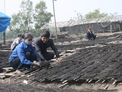 Khát vọng làm giàu của những ông chủ trẻ