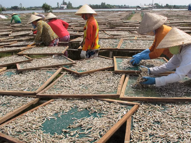 Thị trấn tỷ phú bên bờ biển Tây