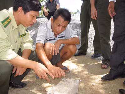 Sống phải bắt, chết phải thấy xác