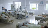 Rắn độc liên tiếp tấn công người, bác sĩ cảnh báo hiểm họa rình rập mùa mưa