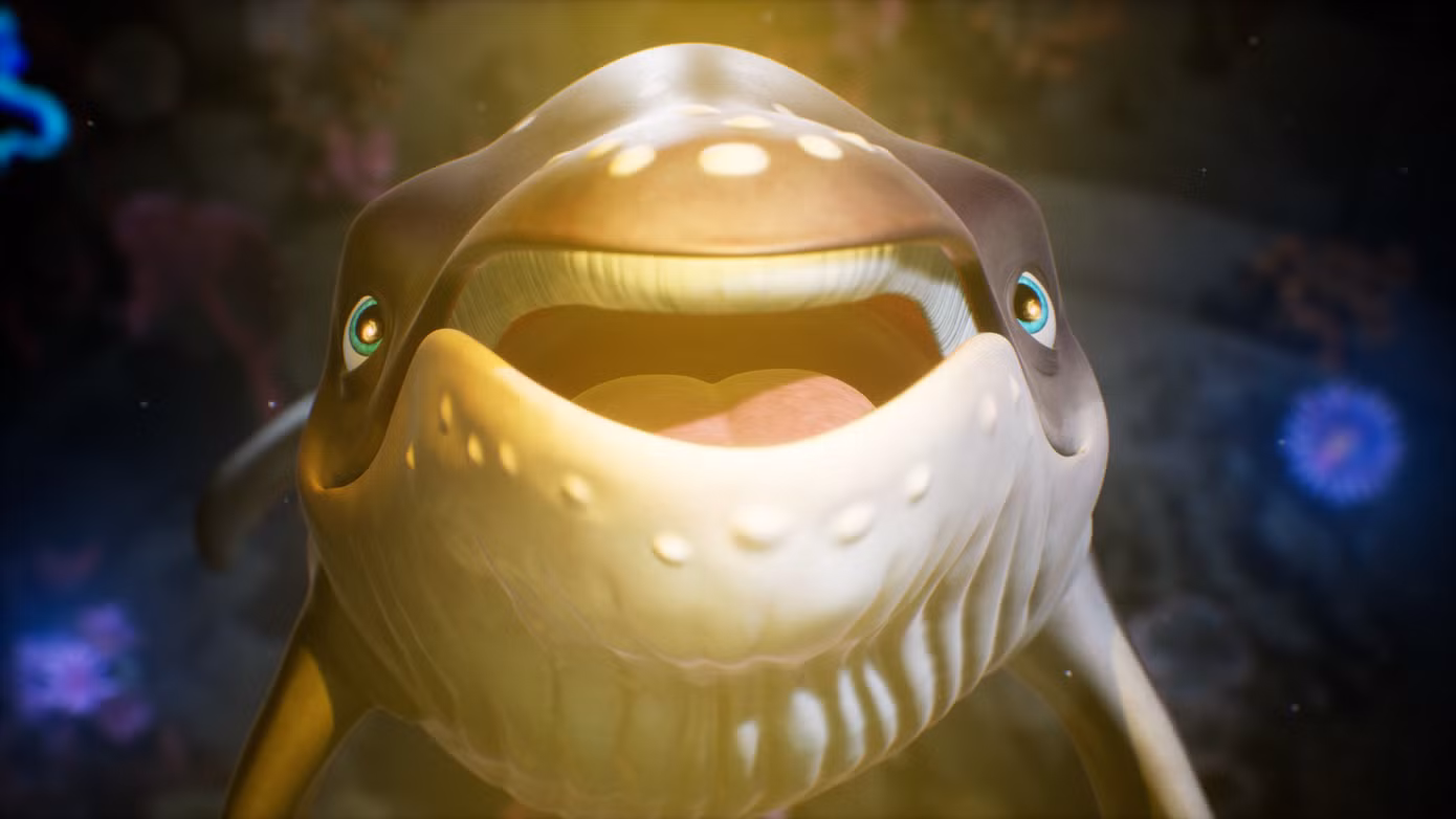 05.png