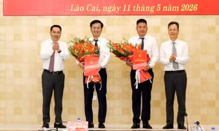 Lào Cai công bố các quyết định về công tác cán bộ