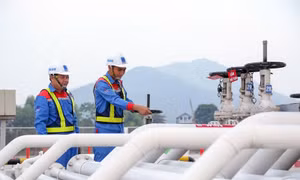 Theo các doanh nghiệp, cần có cơ chế điều chỉnh giá trong nước kịp thời, phù hợp và sát với diễn biến thị trường để đảm bảo ổn định nguồn cung.