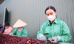 Bộ Tài chính trình phương án cấp bách gỡ vướng mắc thuế giá trị gia tăng 