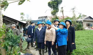 Chủ tịch Ủy ban Trung ương MTTQ Việt Nam thăm hỏi, động viên người dân vùng lũ