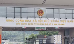 Lô sầu riêng 17 tấn xuất Trung Quốc ngày mùng 1 Tết 