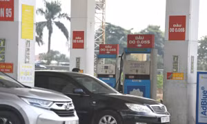 Bán xăng E10: Vì sao nhiều doanh nghiệp tư nhân còn dè dặt?