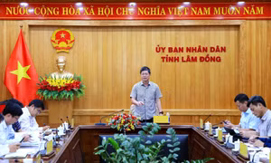 Lâm Đồng phê bình hai ban quản lý bảo trì đường bộ