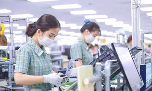 Xuất nhập khẩu đạt kỷ lục, 2 tỉnh trở thành 'ngôi sao' sau sáp nhập