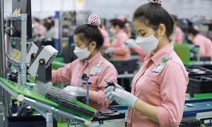 Động lực nào giúp xuất nhập khẩu cán mốc kỷ lục 900 tỷ USD?