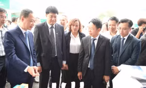 Ngày hội tuyển sinh khối các ngành Khoa học và Công nghệ mở rộng cả về quy mô và nội dung