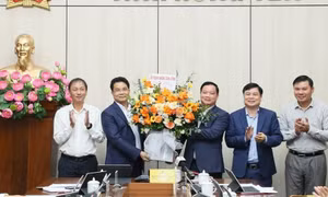 Thủ tướng phê chuẩn nhân sự Phó Chủ tịch UBND tỉnh Hưng Yên