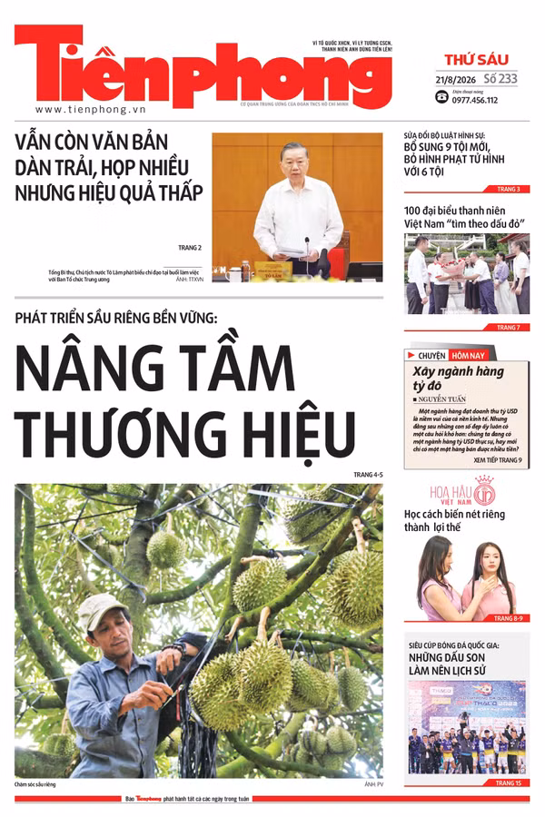 Tiền Phong số 233/2026