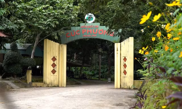 Ninh Bình ‘muốn’ quản lý Vườn quốc gia Cúc Phương