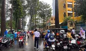 Thi vào lớp 10 TP.HCM: Sai sót trong đề thi môn chuyên Vật Lí được xử lý thế nào?