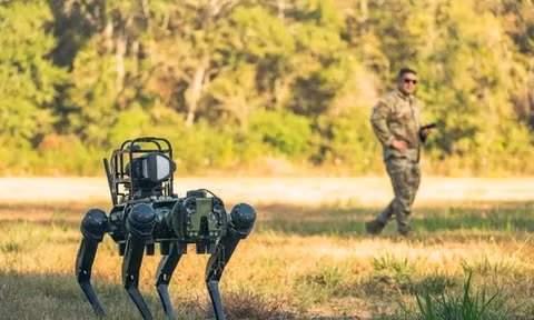 Lo ngại Lầu Năm Góc đang chế tạo robot sát thủ trong tầng hầm đã dẫn đến các quy định nghiêm ngặt hơn về AI. Ảnh: Business Insider.