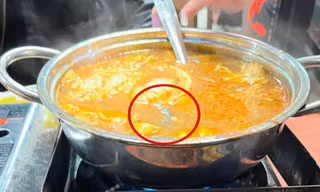 Hà Nội: Đang ăn, thực khách phát hiện có rết dài 10cm trong nồi lẩu