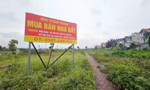 Nhu cầu tìm kiếm bất động sản hạ nhiệt trên diện rộng