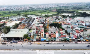 Bãi bỏ thủ tục cung cấp thông tin, dữ liệu đất đai
