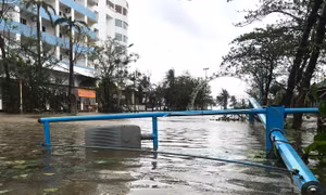 Nhiều trường đại học cho sinh viên nghỉ, học trực tuyến tránh bão số 10
