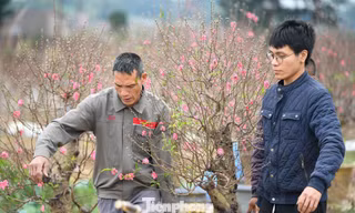 Đào Nhật Tân 'vượt khó' đón Tết Bính Ngọ