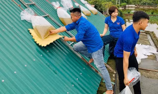 Thanh niên ba tỉnh chạy đua với bão số 3