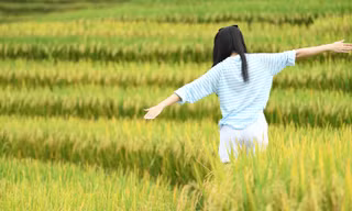 Giới trẻ rủ nhau đi săn mùa vàng Y Tý: 'Biển lúa' vàng rực, ăn cơm cùng đồng bào, sống chậm giữa mây trời