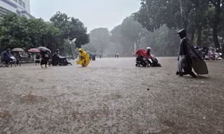 Nhiều trường đại học ở Hà Nội chuyển sang học online ngày 1/10 để ứng phó bão số 10