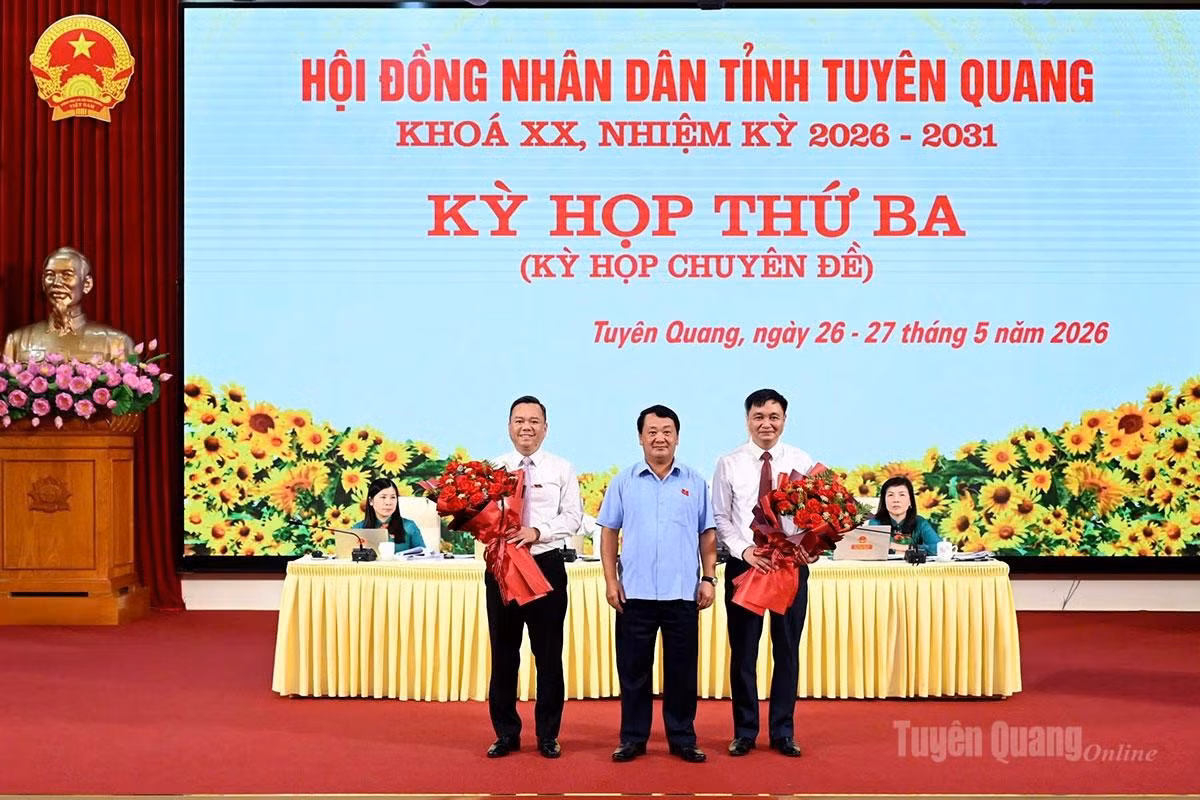 315tq.jpg