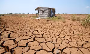 Nguy cơ xuất hiện El Nino rất mạnh, khí hậu nước ta sẽ thế nào?