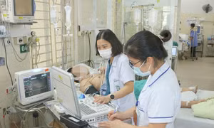 Sốt xuất huyết tăng hơn 15%, WHO cảnh báo bệnh ngày càng khó lường do biến đổi khí hậu