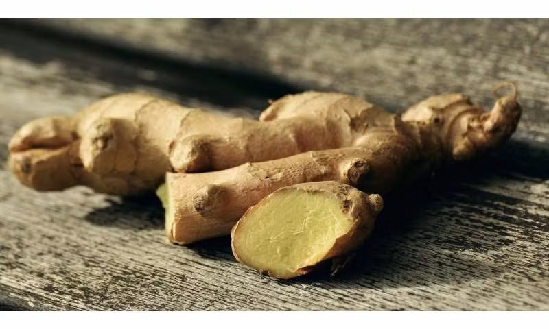 Củ gừng có hoạt tính chống viêm, rễ của nó có hoạt chất 6-gingerol có thể chống lại bệnh tự miễn dịch.