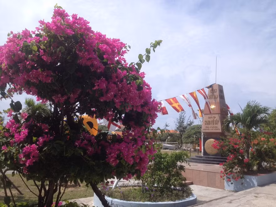 Muôn sắc hoa ở Trường Sa 
