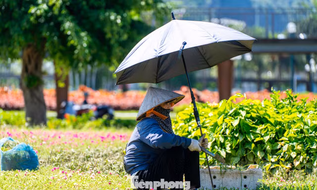 Người dân tìm đủ cách đối phó với cái nóng hơn 40 độ