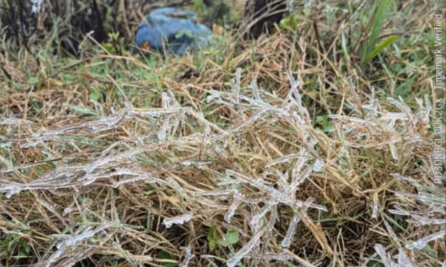 VIDEO: Băng giá xuất hiện trên đỉnh Mẫu Sơn