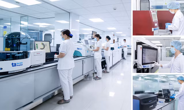 Viện Nghiên cứu Tâm Anh cùng các nhà khoa học Stanford (Hoa Kỳ) triển khai nghiên cứu về viêm gan D