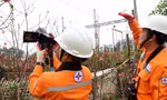 EVN sẵn sàng đảm bảo cung cấp điện trong dịp Tết Nguyên đán Bính Ngọ