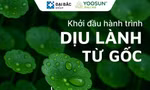 Từ cây rau má nhỏ xinh đến các sản phẩm chăm sóc da 'quốc dân' của người Việt