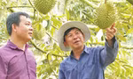 Nông dân Tây Ninh: Những điểm sáng trong phong trào thi đua yêu nước