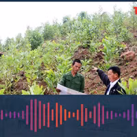 Có được xây nhà trên đất ‘03’?