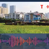 Cách chuyển đất nông nghiệp lên đất ở được nhiều diện tích nhất