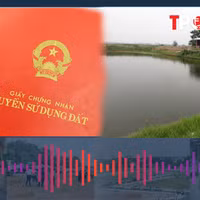 Đất chưa cấp sổ đỏ có được phép cho người khác thuê?