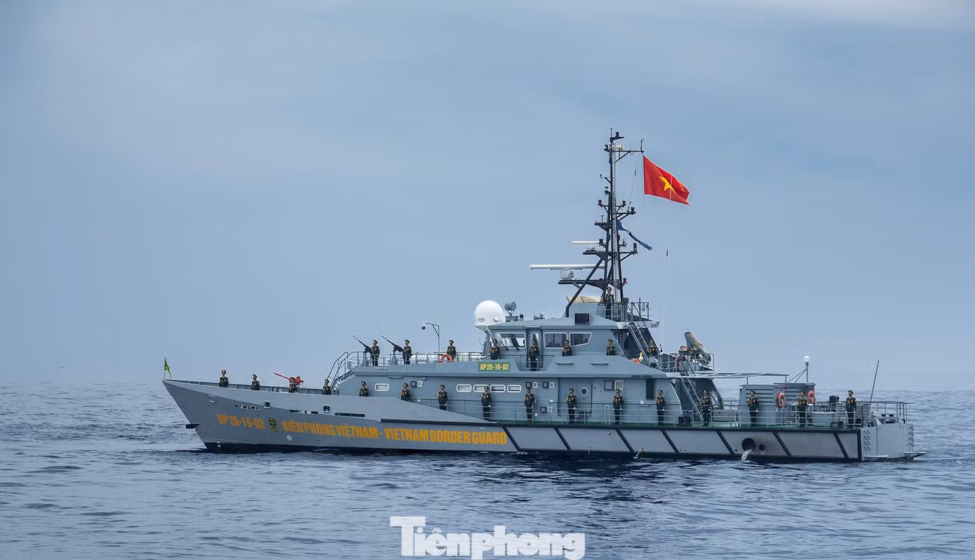 tp-a1.jpg