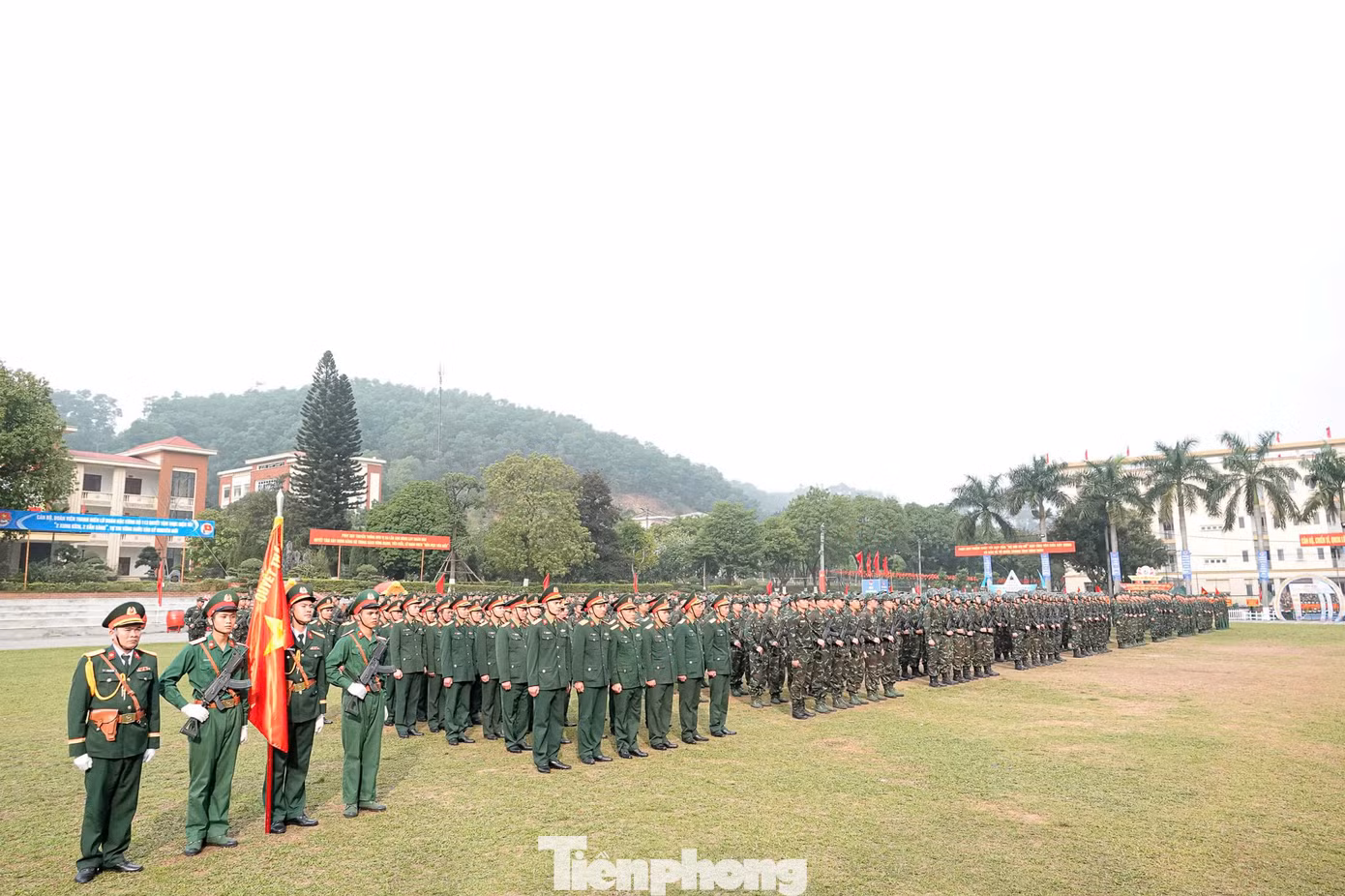 tp-113-21.jpg