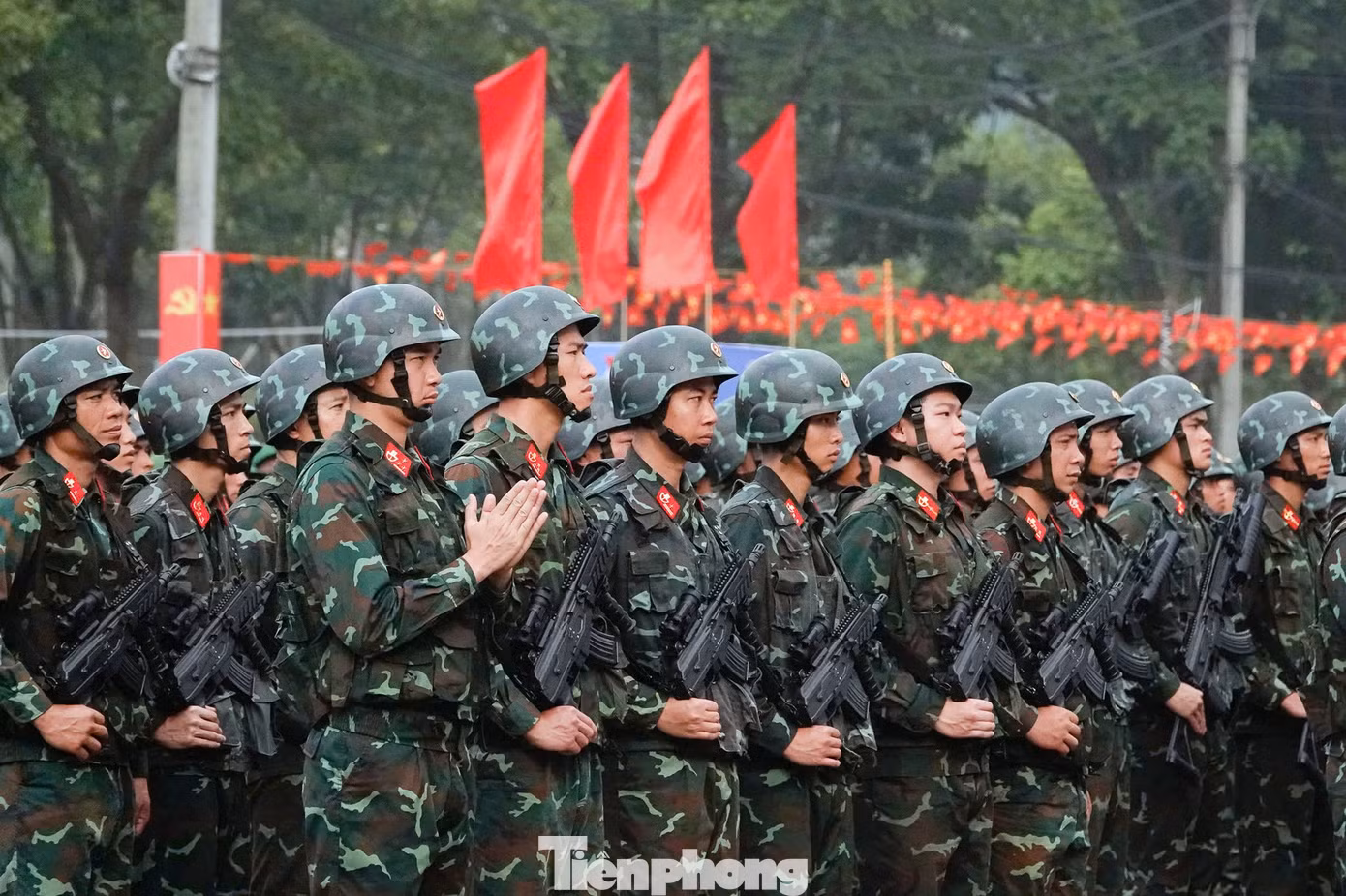 tp-113-20.jpg