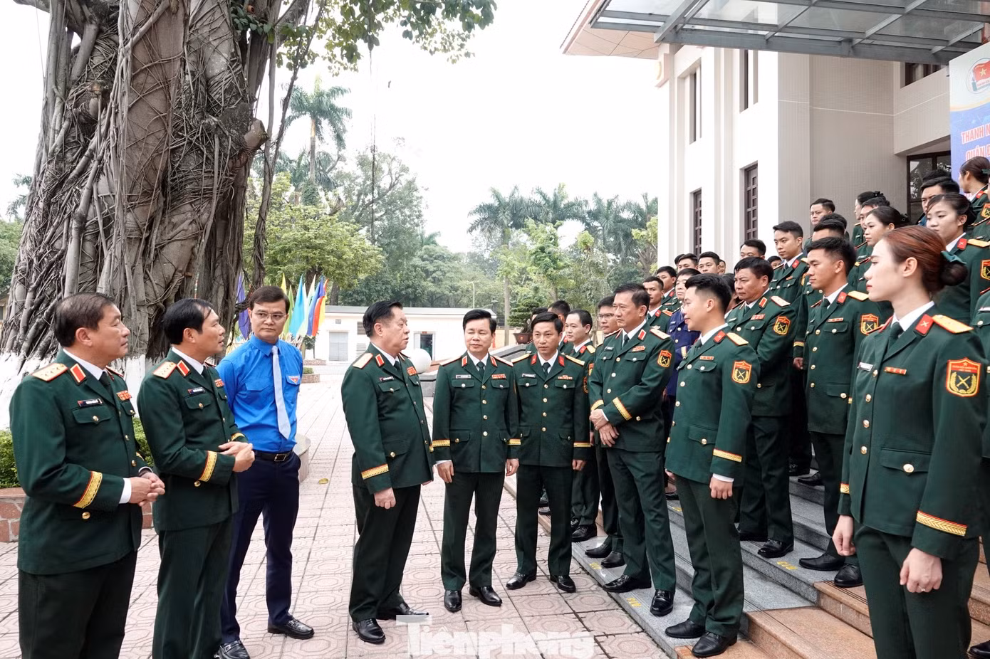 tp-tnqd-1.jpg