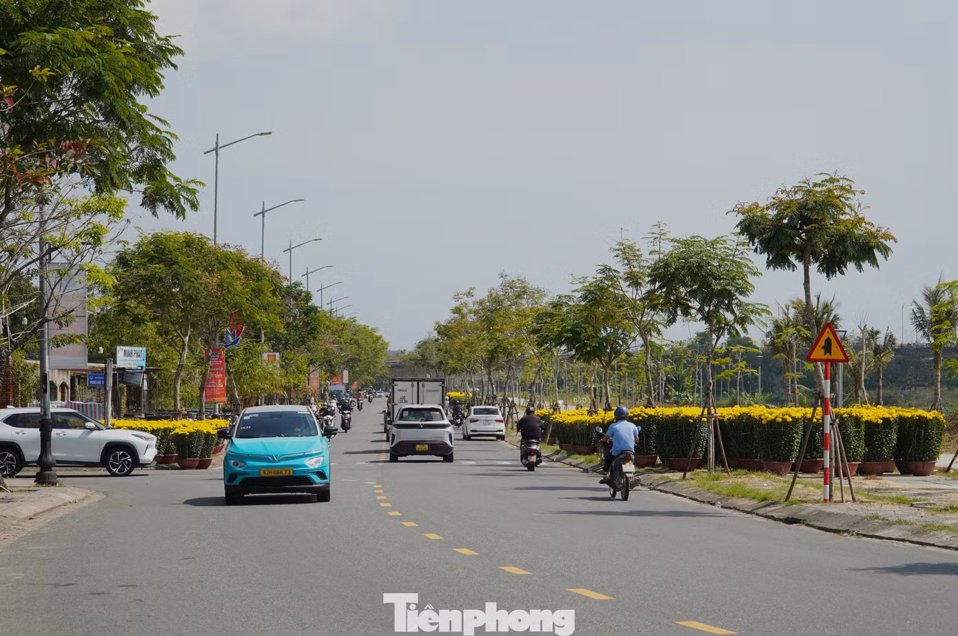tp-cucdn-15.jpg